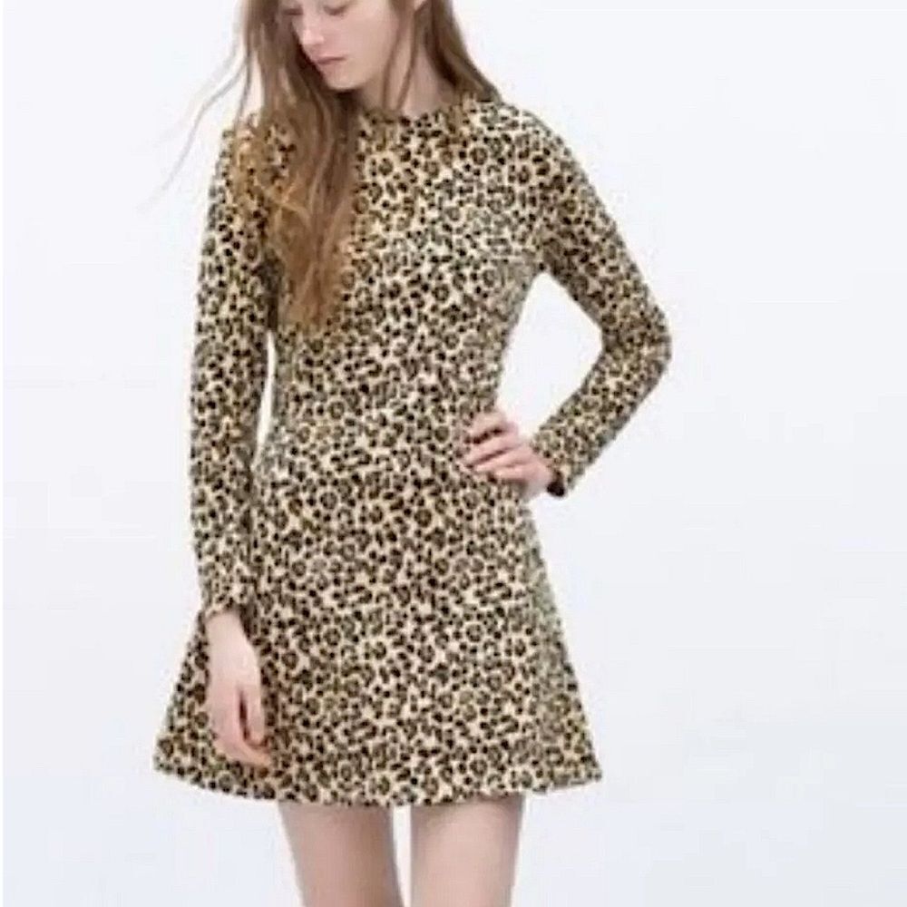 Zara cheetah animal leopard print mini long sleeve crew neck sweatshirt dress S